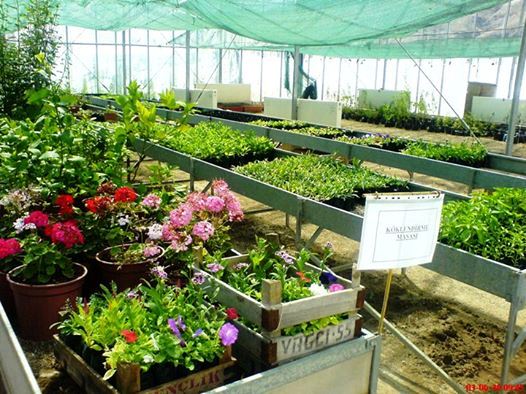 Süs Bitki Yetiştiriciliği ve Peyzaj Eğitimi