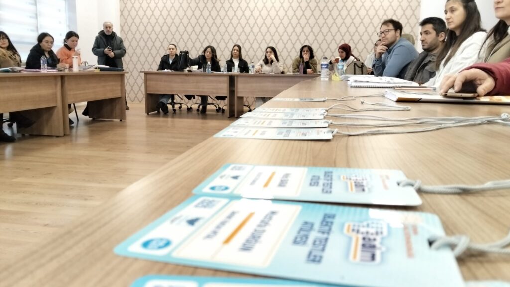 Okullarda Çalışan Danışmanlara Mesleki Destek Eğitimi