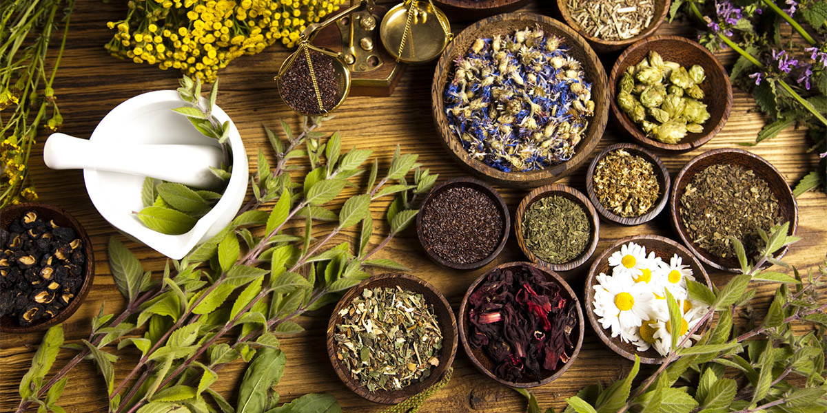 Anadolu Kadim Şifacılığı Eğitimi