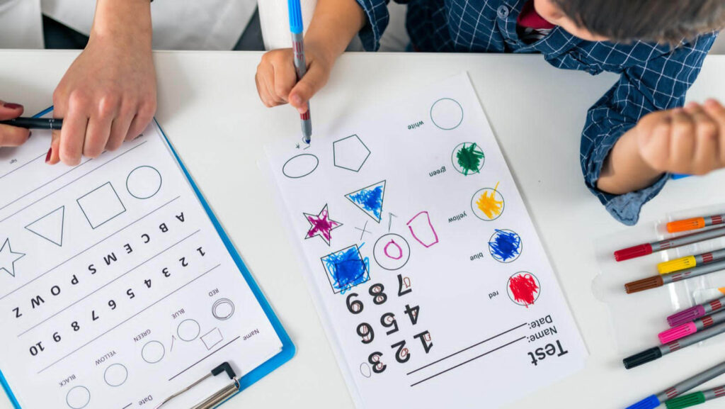 Wisc-r Zeka Testi Eğitimi